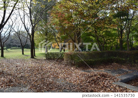 落葉,秋景 落葉,秋景 141535730