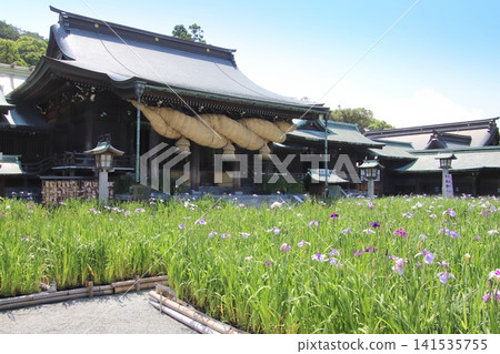 福津市宮地岳神社的景色。 福津市宮地岳神社的景色。 141535755