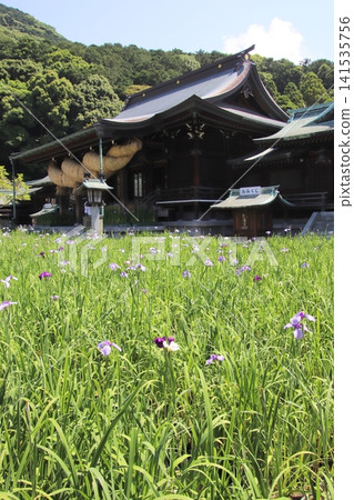 福津市宮地岳神社的景色。 福津市宮地岳神社的景色。 141535756