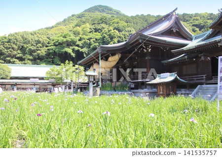 福津市宮地岳神社的景色。 福津市宮地岳神社的景色。 141535757