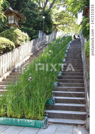 福津市宮地岳神社的參道 福津市宮地岳神社的參道 141535838