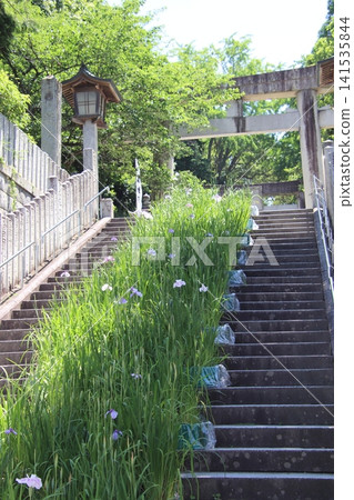 福津市宮地岳神社的參道 福津市宮地岳神社的參道 141535844