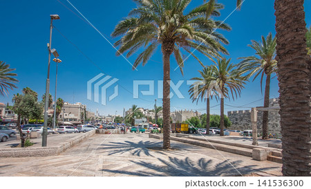 Palm trees on Alley Mish'ol HaPninim Garden leading to the Damascus Gate timelapse hyperlapse in Jerusalem Old City, Israel. Palm trees on Alley Mish'ol HaPninim Garden leading to the Damascus Gate timelapse hyperlapse in Jerusalem Old City, Israel. 141536300