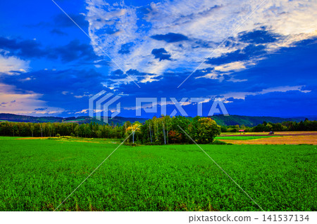 twilight twilight 141537134