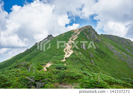 夏季,通往八嶽山脈東天狗岳的美麗健行步道。 夏季,通往八嶽山脈東天狗岳的美麗健行步道。 141537271
