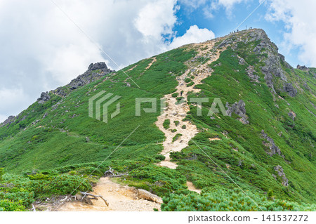 夏季，通往八嶽山脈東天狗岳的美麗健行步道。 141537272
