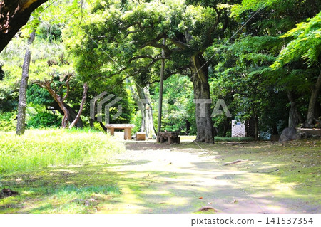A park wrapped in fresh green A park wrapped in fresh green 141537354