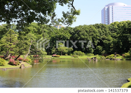 六義園 141537379