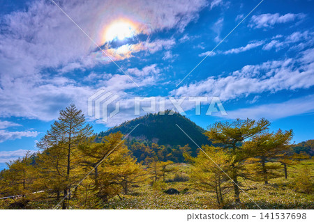 Autumn view of Mt. Hachimaki and iridescent clouds (including the yellowing leaves of larch trees) from Ikenotaira Marsh in Tomi City, Nagano Prefecture. Autumn view of Mt. Hachimaki and iridescent clouds (including the yellowing leaves of larch trees) from Ikenotaira Marsh in Tomi City, Nagano Prefecture. 141537698