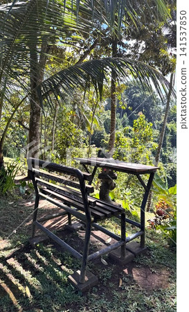 Empty black metal bench and wooden table overlooking a lush tropical jungle landscape, offering a peaceful relaxation area in the natural environment Empty black metal bench and wooden table overlooking a lush tropical jungle landscape, offering a peaceful relaxation area in the natural environment 141537850