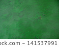 Green Algae Bloom 141537991