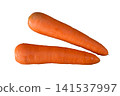 Pair of fresh carrots 141537997