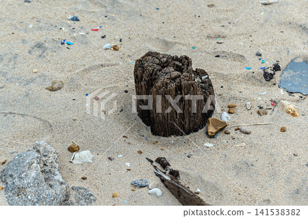 Old tree on the beach. Old tree on the beach. 141538382