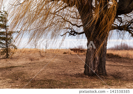 Shore of Lake Michigan. Shore of Lake Michigan. 141538385