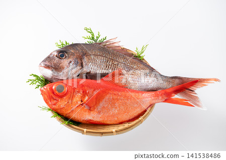 Fresh sea bream and golden snapper Fresh sea bream and golden snapper 141538486