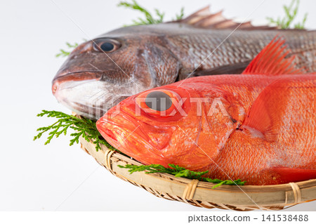 Fresh sea bream and golden snapper Fresh sea bream and golden snapper 141538488