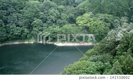 荒川峽谷和荒川河鬱鬱蔥蔥的森林 荒川峽谷和荒川河鬱鬱蔥蔥的森林 141538602