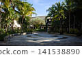 Shaded Courtyard Path Beneath Tropical Palm Canopy 141538890
