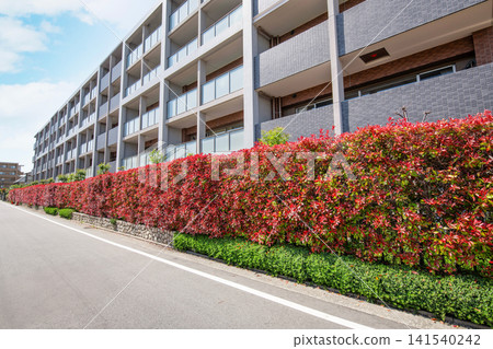 Apartment building surrounded by a red hedge (image of apartment building) Apartment building surrounded by a red hedge (image of apartment building) 141540242