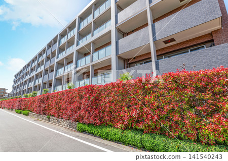 Apartment building surrounded by a red hedge (image of apartment building) Apartment building surrounded by a red hedge (image of apartment building) 141540243