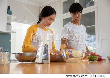 Asian couple chopping assorted vegetables into salad bowl on kitchen island under sunlight Asian couple chopping assorted vegetables into salad bowl on kitchen island under sunlight 141540910