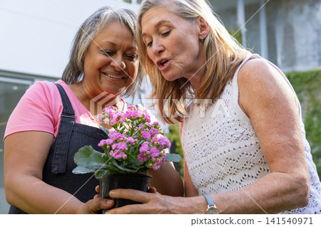 Diverse senior friends holding, inspecting potted kalanchoe plant outside residential patio Diverse senior friends holding, inspecting potted kalanchoe plant outside residential patio 141540971