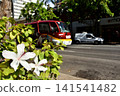 Holidays in Hawaii 141541482