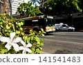 Holidays in Hawaii 141541483