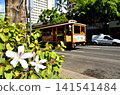 Holidays in Hawaii 141541484