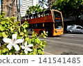 Holidays in Hawaii 141541485