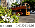 Holidays in Hawaii 141541486