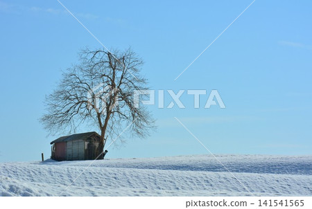Echigo snow pass winter landscape Echigo snow pass winter landscape 141541565