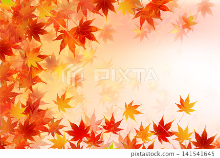 A background of vibrant red and orange autumn foliage. A background of vibrant red and orange autumn foliage. 141541645