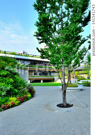 Yoyogi Park, a new spot that shines against the blue sky: Yoyogi Park BE STAGE Yoyogi Park, a new spot that shines against the blue sky: Yoyogi Park BE STAGE 141541743