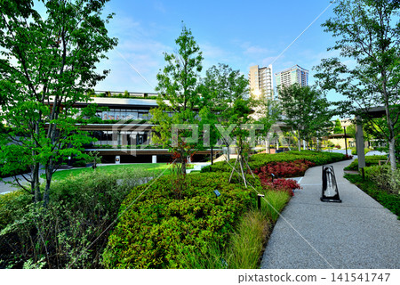 Yoyogi Park, a new spot that shines against the blue sky: Yoyogi Park BE STAGE Yoyogi Park, a new spot that shines against the blue sky: Yoyogi Park BE STAGE 141541747