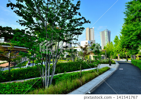代代木公園,一個在藍天映襯下熠熠生輝的新景點:代代木公園 BE STAGE 代代木公園,一個在藍天映襯下熠熠生輝的新景點:代代木公園 BE STAGE 141541767