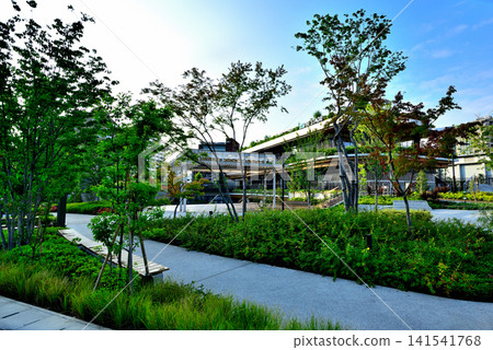 代代木公園,一個在藍天映襯下熠熠生輝的新景點:代代木公園 BE STAGE 代代木公園,一個在藍天映襯下熠熠生輝的新景點:代代木公園 BE STAGE 141541768