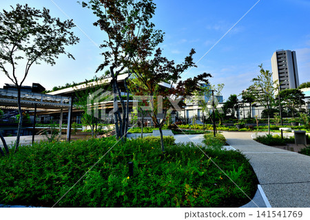Yoyogi Park, a new spot that shines against the blue sky: Yoyogi Park BE STAGE Yoyogi Park, a new spot that shines against the blue sky: Yoyogi Park BE STAGE 141541769