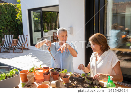 Senior friends gardening on patio using trowels, terra cotta pots, potting soil, seedling trays 141542614