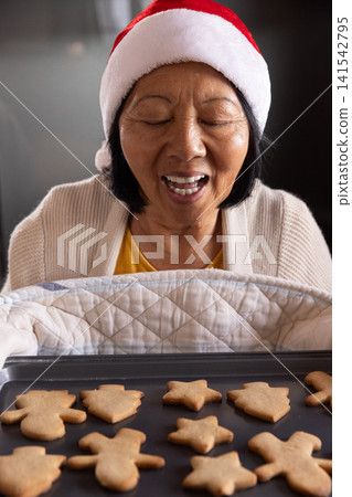 Senior Asian woman wearing Santa hat holding tray at kitchen counter blowing on holiday cookies Senior Asian woman wearing Santa hat holding tray at kitchen counter blowing on holiday cookies 141542795