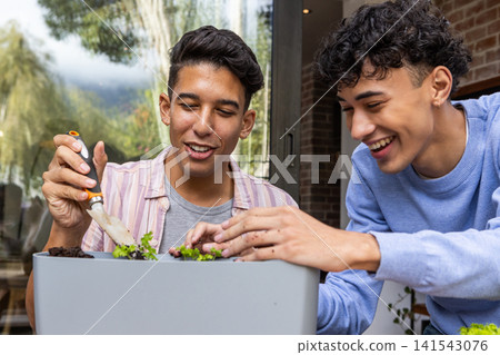 Two male friends planting seedlings using trowel, potting soil in planter box on balcony patio Two male friends planting seedlings using trowel, potting soil in planter box on balcony patio 141543076