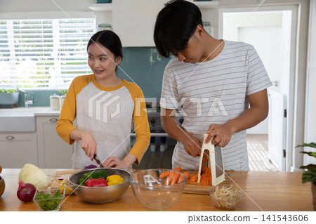 Asian couple chopping vegetables on countertop island in modern kitchen using chef's knife Asian couple chopping vegetables on countertop island in modern kitchen using chef's knife 141543606