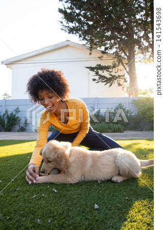 African american woman kneeling, offering tennis ball to golden retriever puppy on backyard lawn African american woman kneeling, offering tennis ball to golden retriever puppy on backyard lawn 141543698