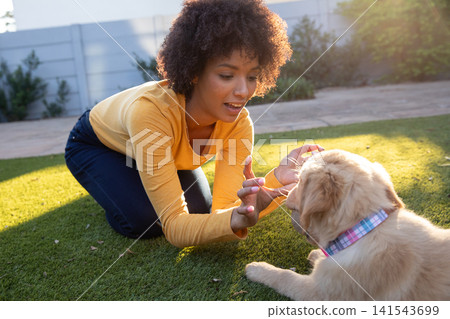 African american woman kneeling in fenced backyard with tiny golden retriever puppy African american woman kneeling in fenced backyard with tiny golden retriever puppy 141543699