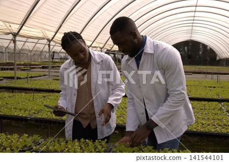 African american researchers holding tablet, inspecting seedling trays in greenhouse African american researchers holding tablet, inspecting seedling trays in greenhouse 141544101