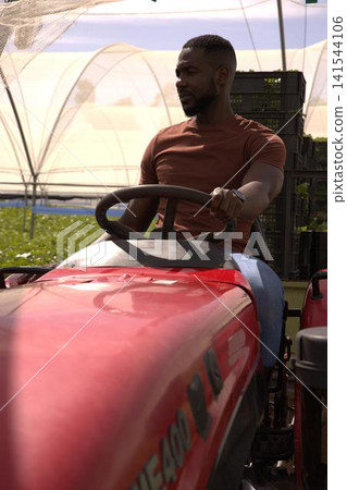 African american man driving red tractor in greenhouse at plants, produce crates, copy space African american man driving red tractor in greenhouse at plants, produce crates, copy space 141544106