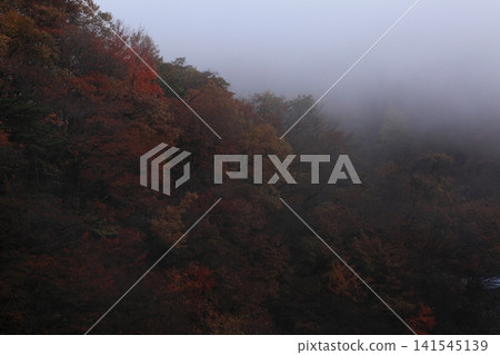 Hachimantai of autumn leaves Hachimantai of autumn leaves 141545139