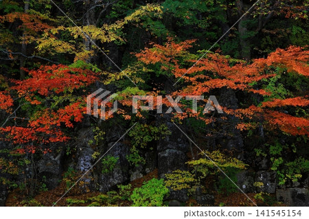 Hachimantai of autumn leaves Hachimantai of autumn leaves 141545154