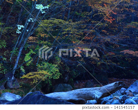 Hachimantai of autumn leaves 141545157
