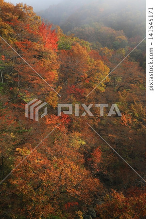 Hachimantai of autumn leaves Hachimantai of autumn leaves 141545171
